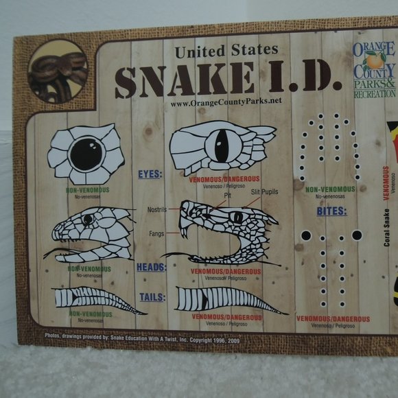 Snake Identification Guide Snake I. D. Chart - Do and Don't Do Herpetology Guide - Picture 2 of 6